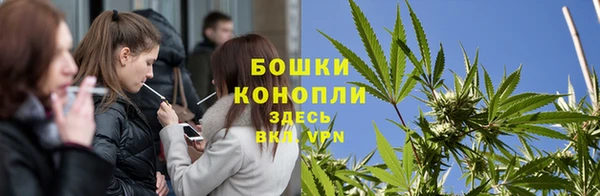 ПСИЛОЦИБИНОВЫЕ ГРИБЫ Абаза