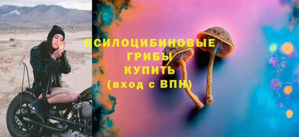 ПСИЛОЦИБИНОВЫЕ ГРИБЫ Абаза