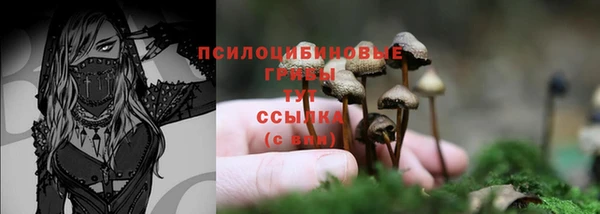 мяу мяу мука Абдулино