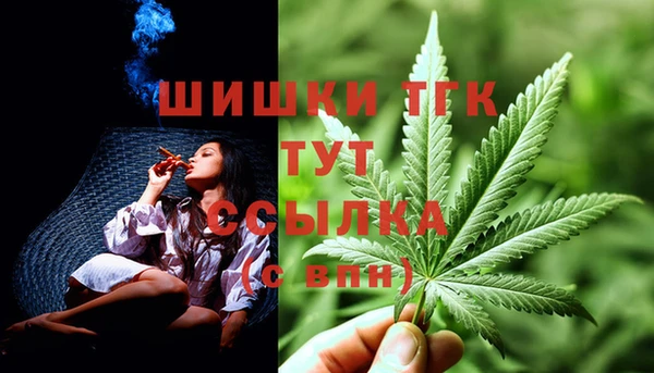 ПСИЛОЦИБИНОВЫЕ ГРИБЫ Абаза